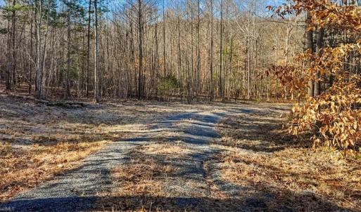 Photo #13 of Tot Hill Farm, Asheboro, NC 16.0 acres