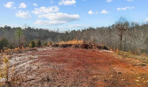 Photo #10 of Tot Hill Farm, Asheboro, NC 16.0 acres