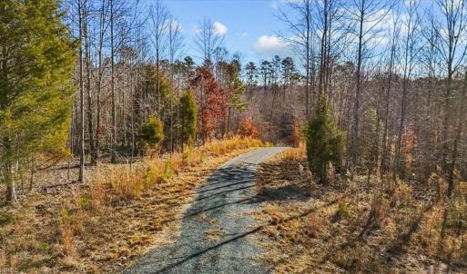 Photo #8 of Tot Hill Farm, Asheboro, NC 16.0 acres