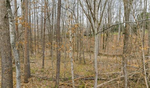 Photo #23 of Seay, Advance, NC 1.3 acres