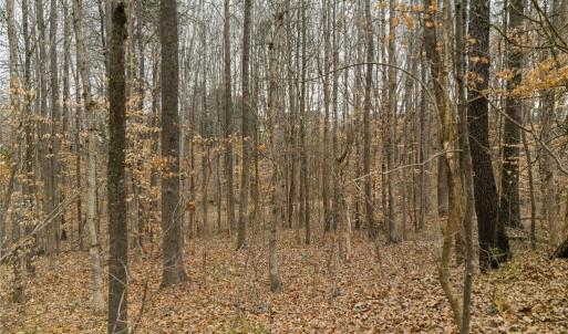 Photo #23 of Seay, Advance, NC 1.2 acres