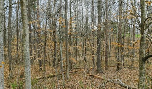 Photo #20 of Seay, Advance, NC 0.8 acres