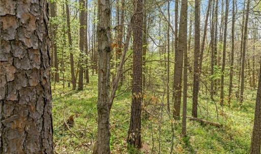 Photo #21 of Seay, Advance, NC 0.8 acres