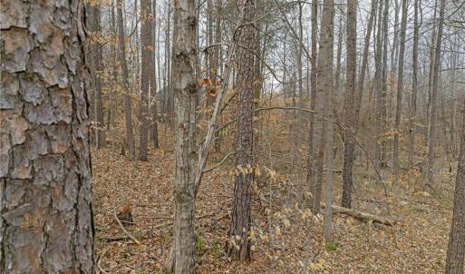 Photo #21 of Seay, Advance, NC 0.8 acres