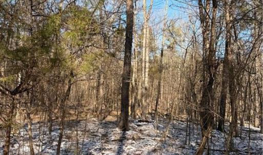 Photo #1 of Stokes Ferry, Gold Hill, NC 16.3 acres