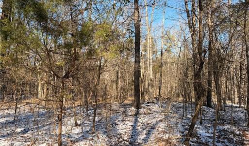 Photo #2 of Stokes Ferry, Gold Hill, NC 16.3 acres