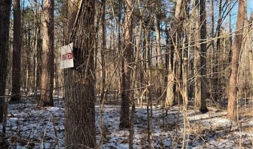 Photo #3 of Stokes Ferry, Gold Hill, NC 16.3 acres