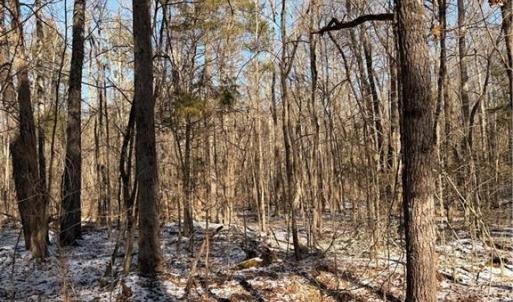 Photo #5 of Stokes Ferry, Gold Hill, NC 16.3 acres