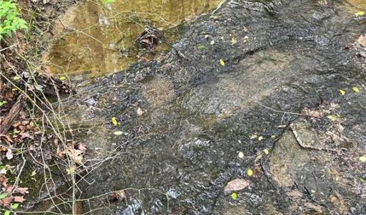 Photo #5 of Sheets, Germanton, NC 26.8 acres