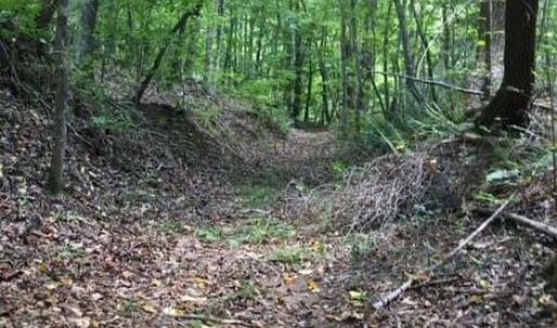 Photo #27 of Sheets, Germanton, NC 26.8 acres