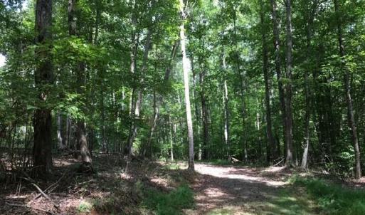 Photo #17 of Sheets, Germanton, NC 26.8 acres