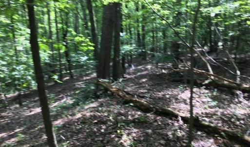 Photo #16 of Sheets, Germanton, NC 26.8 acres