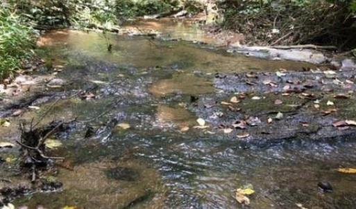 Photo #22 of Sheets, Germanton, NC 26.8 acres