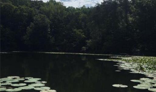 Photo #28 of Sheets, Germanton, NC 26.8 acres