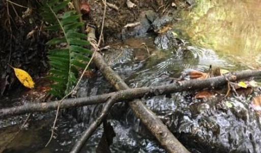 Photo #24 of Sheets, Germanton, NC 26.8 acres