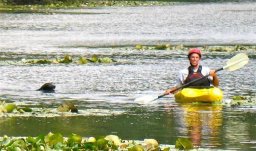 Photo #33 of Sheets, Germanton, NC 26.8 acres