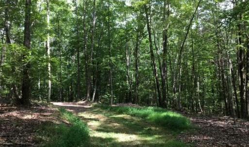 Photo #19 of Sheets, Germanton, NC 26.8 acres