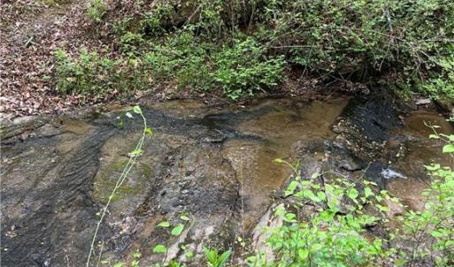 Photo #4 of Sheets, Germanton, NC 26.8 acres