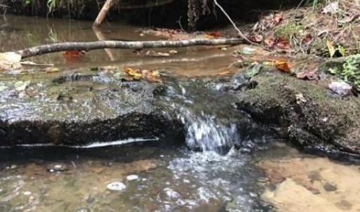 Photo #25 of Sheets, Germanton, NC 26.8 acres