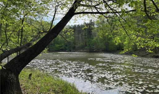 Photo #13 of Sheets, Germanton, NC 26.8 acres