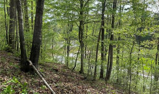 Photo #9 of Sheets, Germanton, NC 26.8 acres