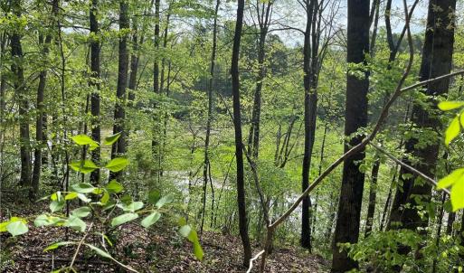 Photo #11 of Sheets, Germanton, NC 26.8 acres