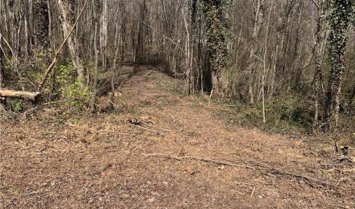 Photo #27 of King, King, NC 17.5 acres