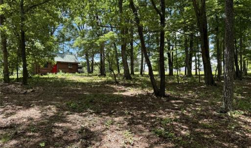 Photo #17 of King, King, NC 17.5 acres