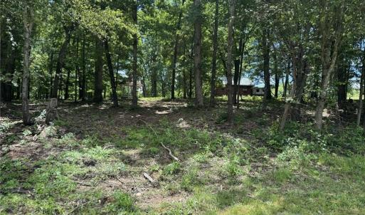 Photo #19 of King, King, NC 17.5 acres
