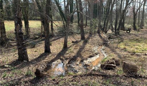 Photo #35 of King, King, NC 17.5 acres