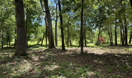 Photo #14 of King, King, NC 17.5 acres