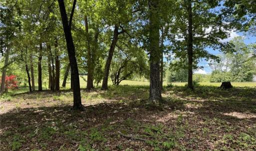 Photo #15 of King, King, NC 17.5 acres