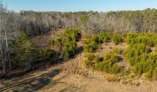 Photo #13 of NC Highway 268, Pilot Mountain, NC 11.9 acres