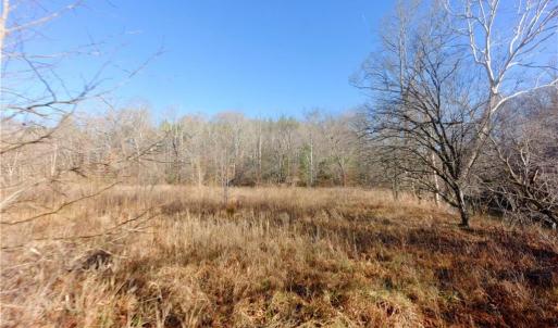 Photo #13 of 4 Roby Fulk, Pinnacle, NC 10.4 acres