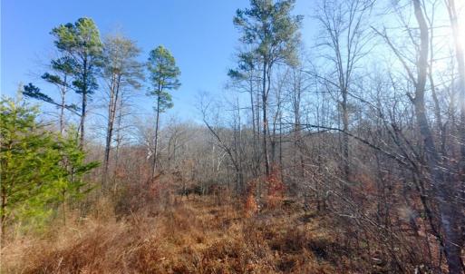 Photo #17 of 4 Roby Fulk, Pinnacle, NC 10.4 acres