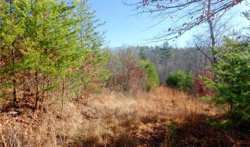 Photo #16 of 4 Roby Fulk, Pinnacle, NC 10.4 acres