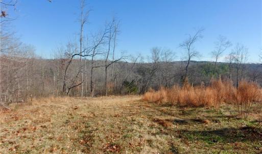 Photo #20 of 4 Roby Fulk, Pinnacle, NC 10.4 acres