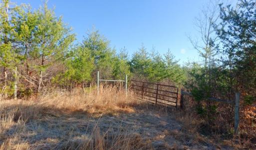 Photo #18 of 4 Roby Fulk, Pinnacle, NC 10.4 acres