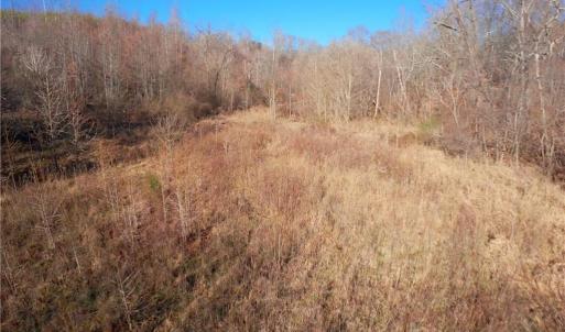 Photo #15 of 4 Roby Fulk, Pinnacle, NC 10.4 acres