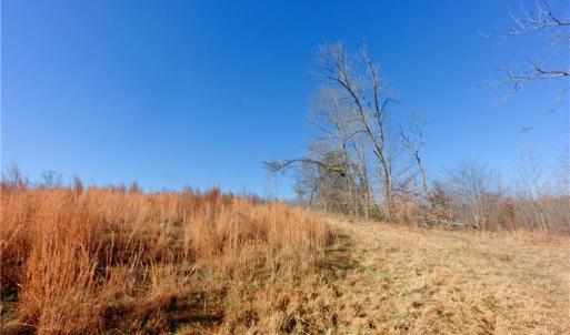 Photo #21 of 4 Roby Fulk, Pinnacle, NC 10.4 acres