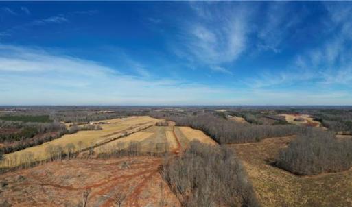 Photo #22 of Tennyson, Mocksville, NC 132.5 acres