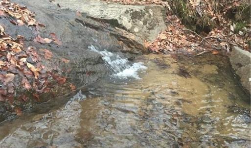 Photo #23 of 347 Wray, Stoneville, NC 40.1 acres