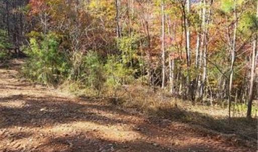 Photo #2 of 347 Wray, Stoneville, NC 40.1 acres