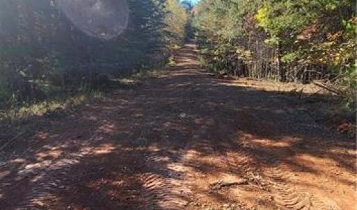 Photo #6 of 347 Wray, Stoneville, NC 40.1 acres