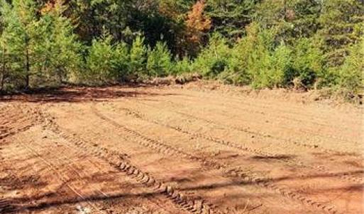 Cleared area at end of drive