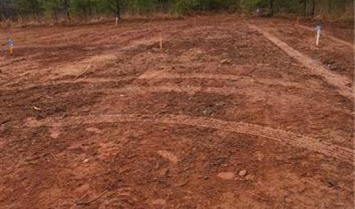Photo #17 of 347 Wray, Stoneville, NC 40.1 acres