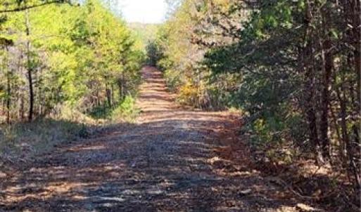 Photo #12 of 347 Wray, Stoneville, NC 40.1 acres