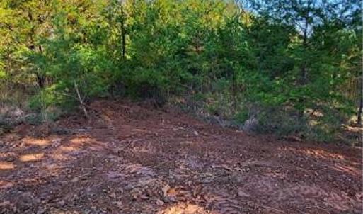 Photo #7 of 347 Wray, Stoneville, NC 40.1 acres