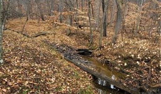 Photo #32 of 347 Wray, Stoneville, NC 40.1 acres