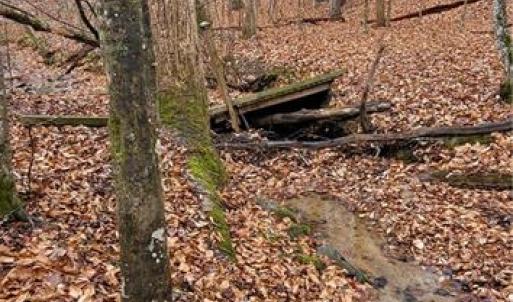 Photo #28 of 347 Wray, Stoneville, NC 40.1 acres